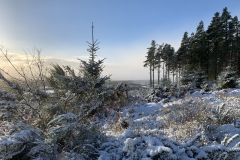 Scotsburn Woods, view to Cromarty Firth